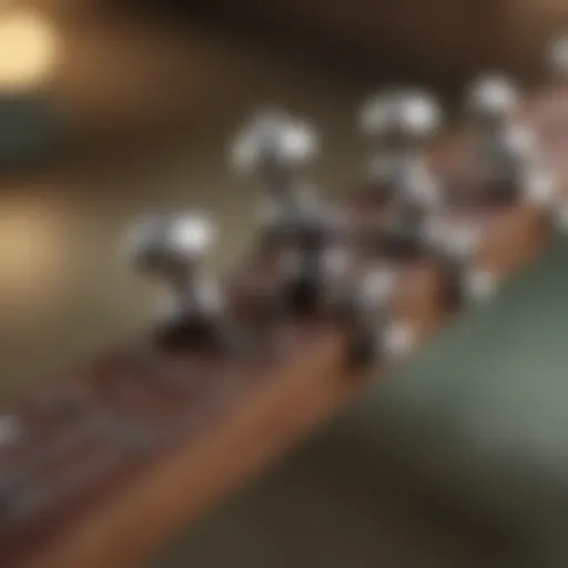 Illustration of tuning pegs on ukulele headstock