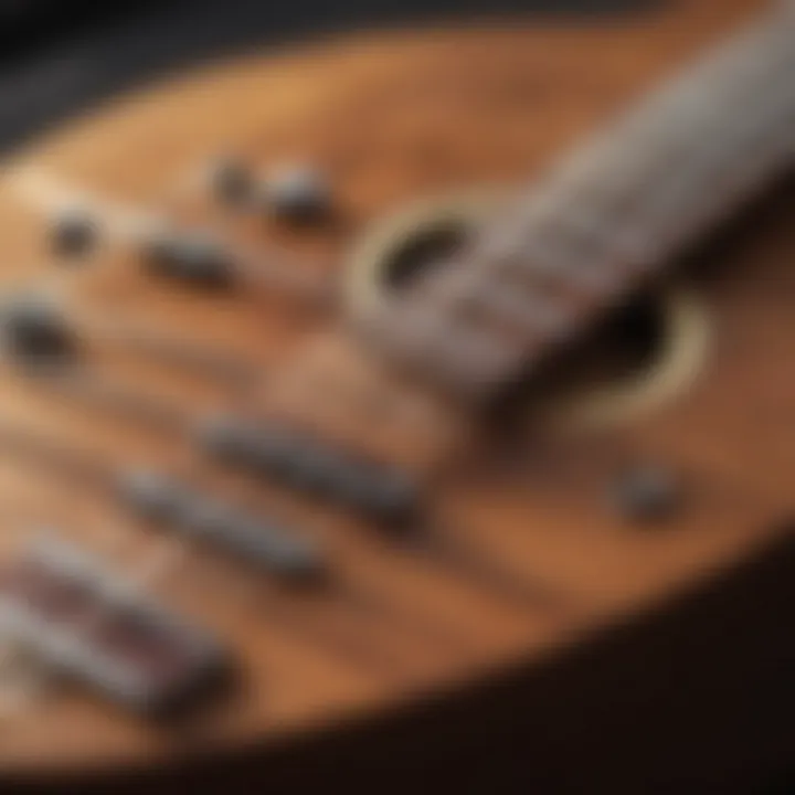 Ukulele fretboard close-up