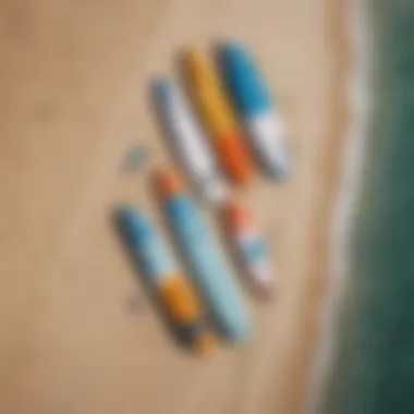 Aerial view of paddle boards lined up on a beach