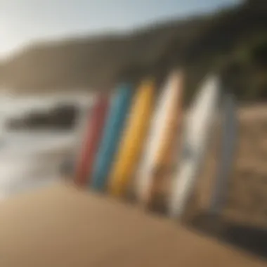 Close-up of surfboards lined up on the shore in Mexico