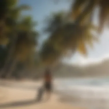 Surfer walking along a palm tree-lined beach in Mexico