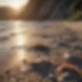 A pristine beach contrasted with litter and debris