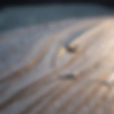 Close-up of a foamy surfboard showcasing its craftsmanship and materials