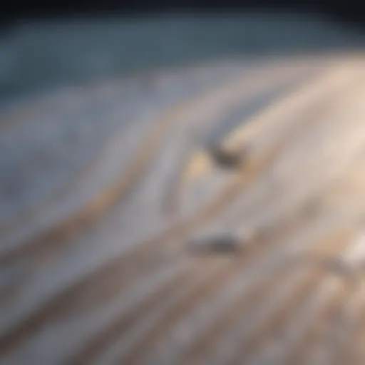 Close-up of a foamy surfboard showcasing its craftsmanship and materials