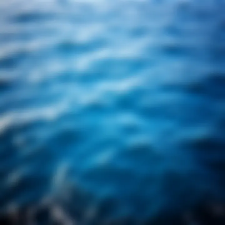 Vast expanse of ocean showcasing its deep blue hues and surface waves