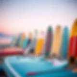 Different types of paddle boards lined up on the beach