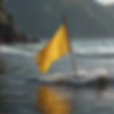 Yellow flag indicating moderate conditions for water activities