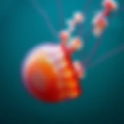 Close-up of a jellyfish with tentacles