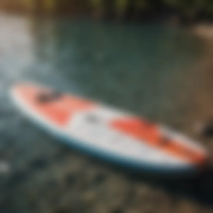 Diverse paddleboards showcased for size comparison