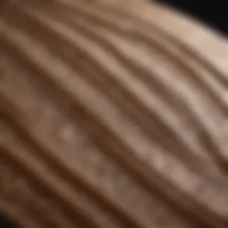 Close-up view of Alaia board craftsmanship showcasing intricate patterns and materials