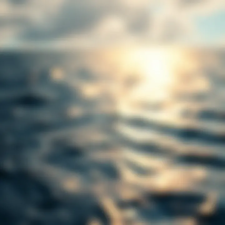 Map illustrating wind patterns over water