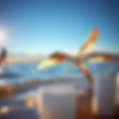 Seasonal Wind Variations and Their Effects Seasonal changes in wind speed across different locations