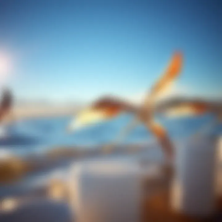 Seasonal Wind Variations and Their Effects Seasonal changes in wind speed across different locations