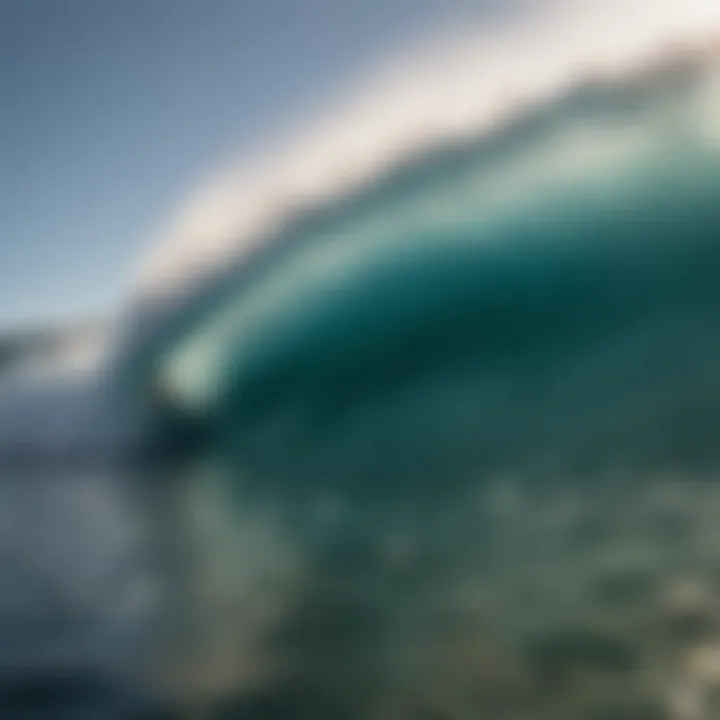 Group of surfers synchronized on a dynamic party wave