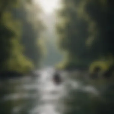 A kayaker exploring a tranquil river surrounded by lush greenery