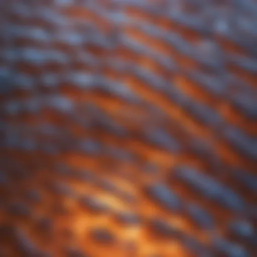 Vibrant Fish Scales Reflecting Sunlight