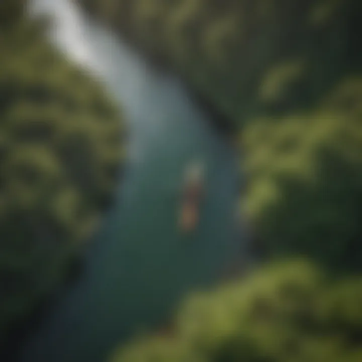 Aerial view of kayakers paddling through a winding river surrounded by lush greenery