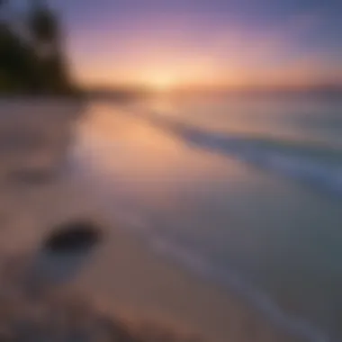 Bioluminescent Beach Shore at Dusk