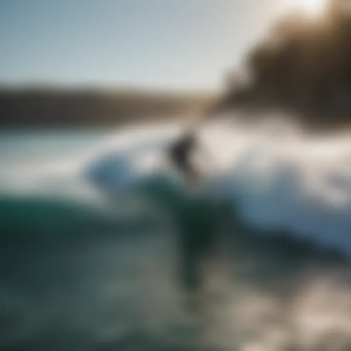 Scenic view of a popular wakesurfing location with vibrant water and clear skies.