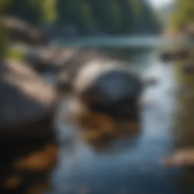 Rocks Near Water Edge